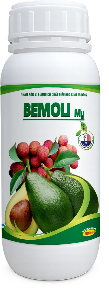 Bemoli My