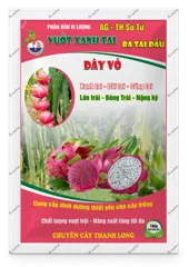 AG-TH Sư Tử Vuốt Xanh Tai – Ba Tai Đầu